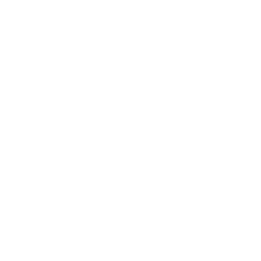 Integrity & Professionalism